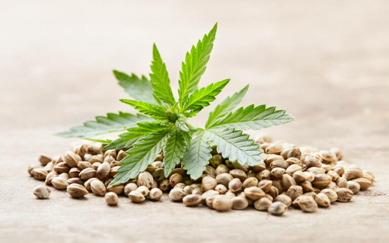 Cannabis pest control
