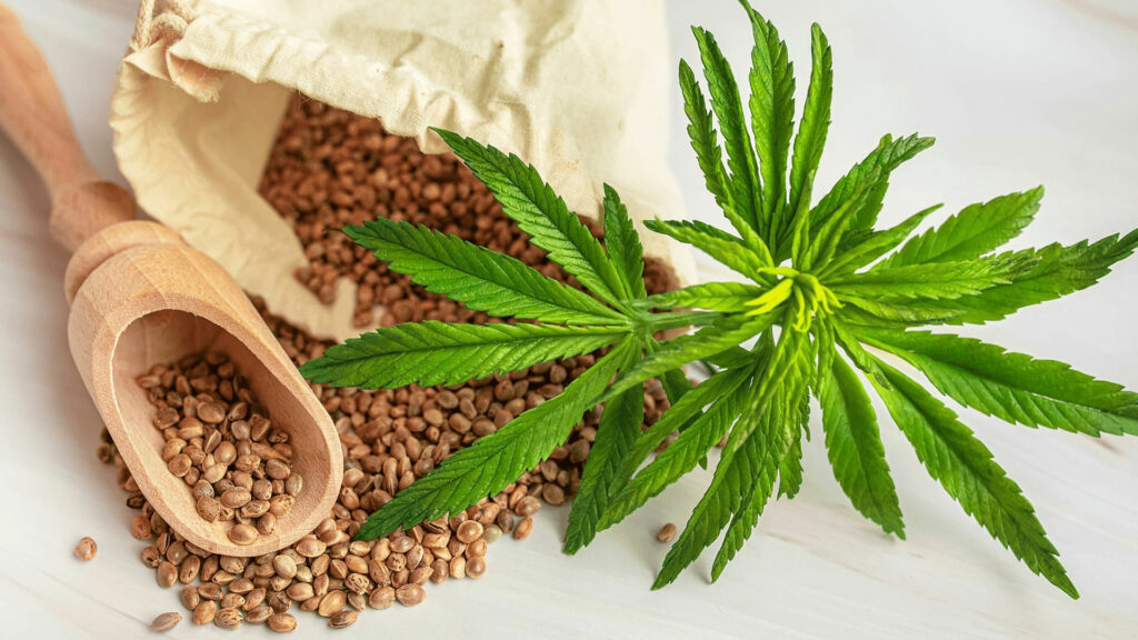 Microdosing Cannabis